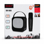 SDRD SD-503 Mini Karaoke Speaker with Wireless Microphone