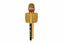 wireless karaoke microphone