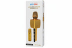 wireless karaoke microphone