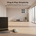 A wireless computer mouse shown on a light gray background with text reading 'Plug & Play Simplicity' and compatibility details for Windows, macOS, Linux, Chrome OS, and others. The mouse appears light gray/silver.