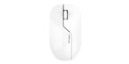 GREEN LION WIRELESS MOUSE - BT-5.0 - G730